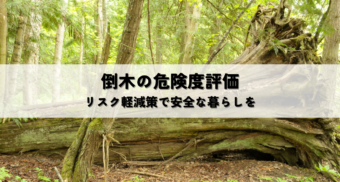 倒木リスク評価と事前対応で費用対効果を高める方法