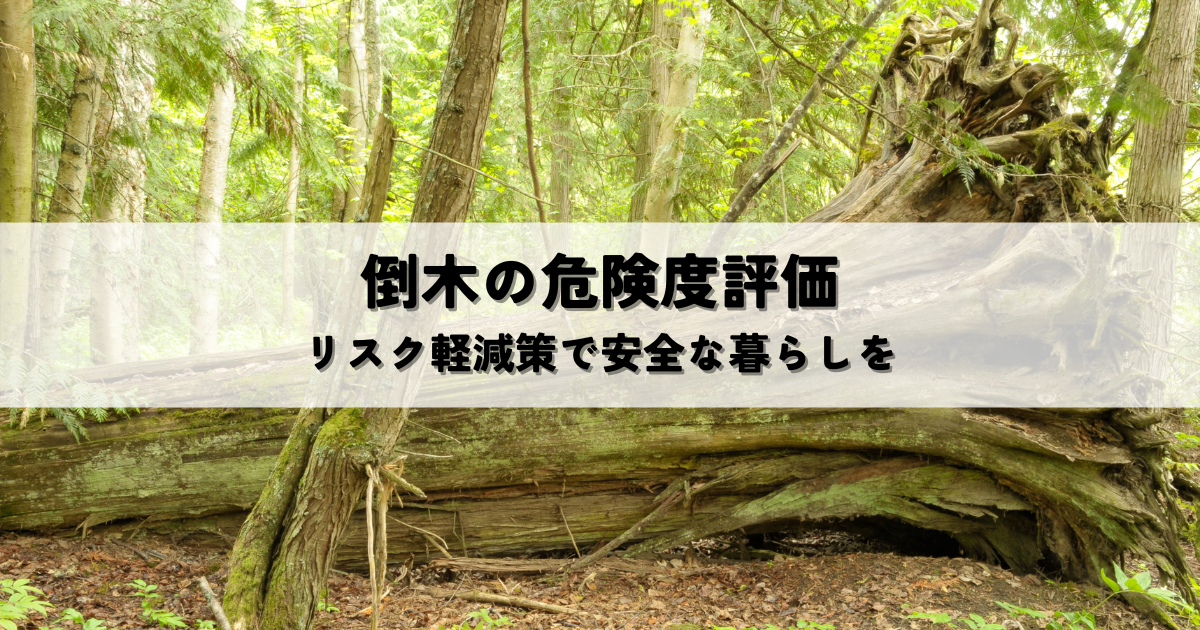 倒木リスク評価と事前対応で費用対効果を高める方法
