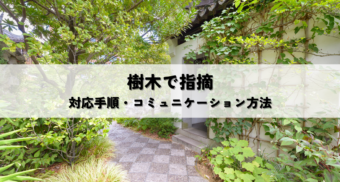 市区町村から樹木の指摘を受けたら？対応方法と反論手順を解説