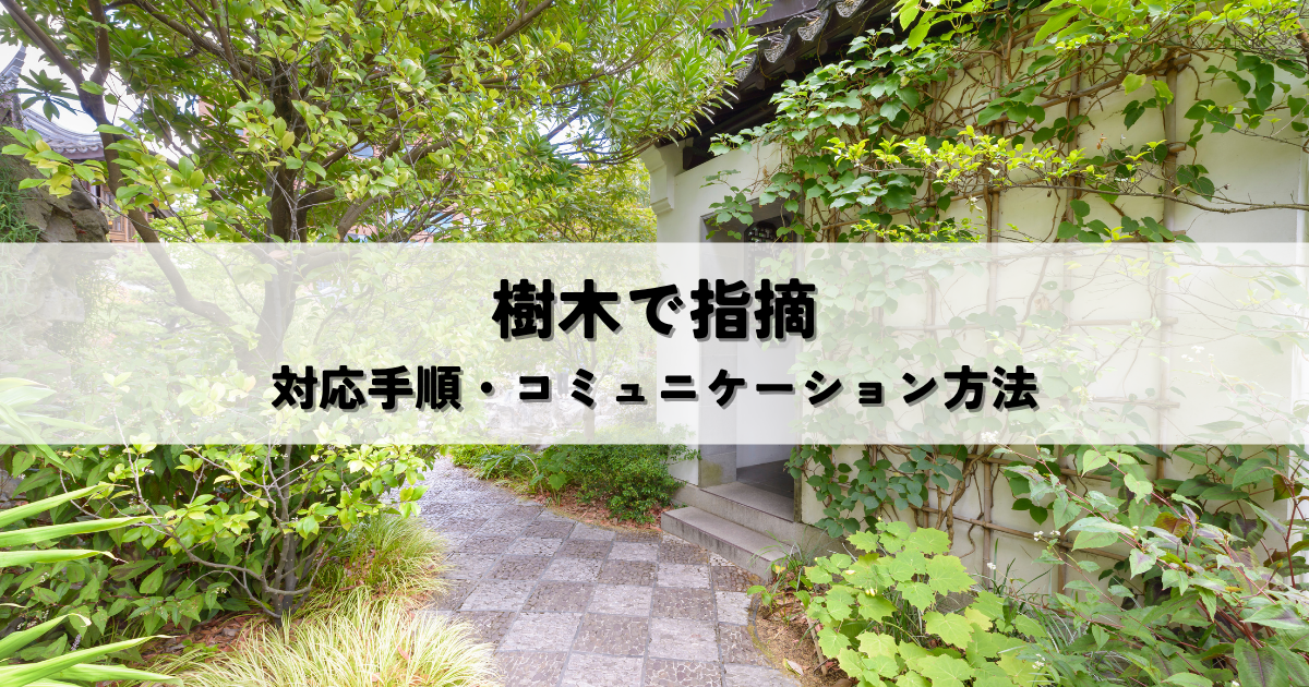 市区町村から樹木の指摘を受けたら?対応方法と反論手順を解説