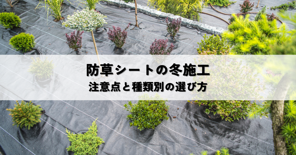 防草シート冬施工の注意点まとめ！凍結対策や種類別の対策方法