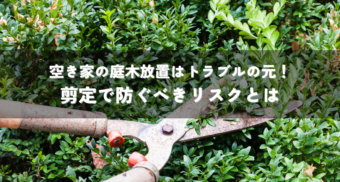 空き家の庭木放置はトラブルの元！剪定で防ぐべきリスクとは