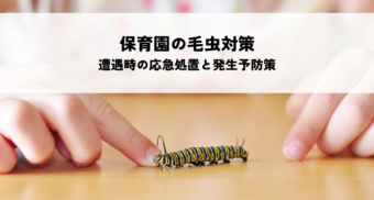 保育園の毛虫対策！遭遇時の応急処置と発生予防策を解説