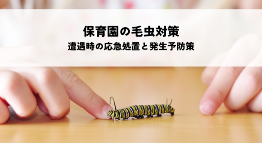 保育園の毛虫対策！遭遇時の応急処置と発生予防策を解説