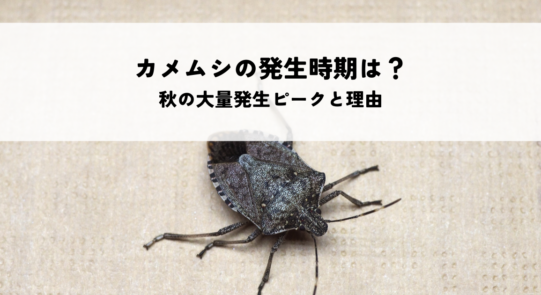 カメムシの発生時期はいつ？秋の大量発生ピークと理由を解説！