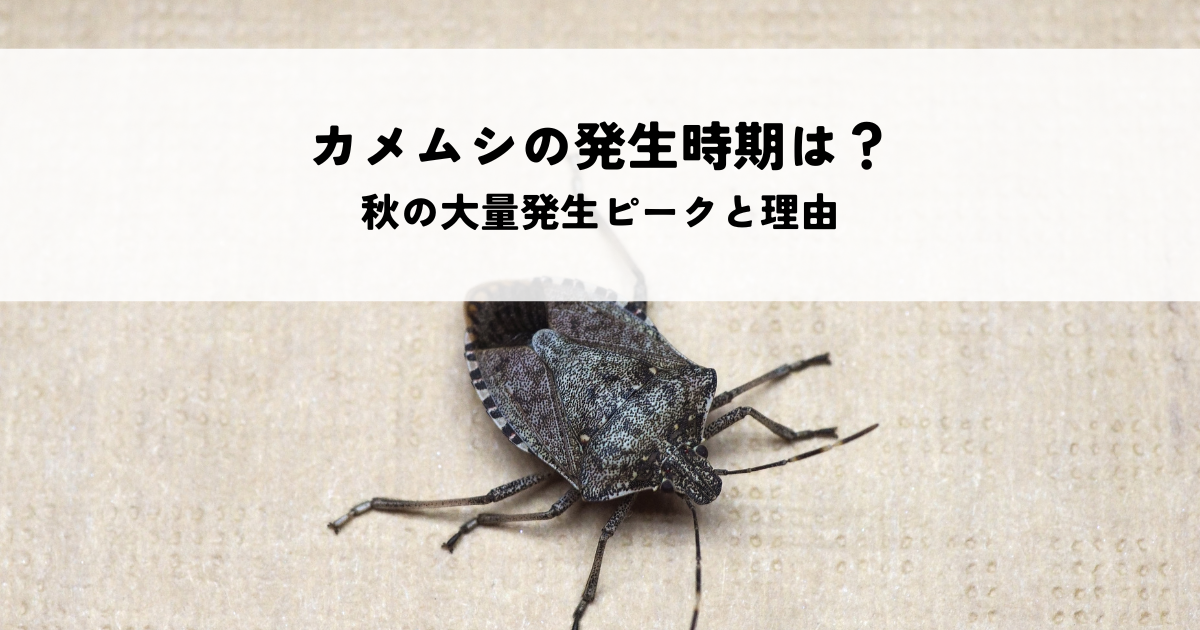 カメムシの発生時期はいつ?秋の大量発生ピークと理由を解説!