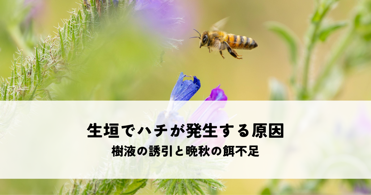生垣でハチが発生する原因とは?樹液の誘引と晩秋の餌不足