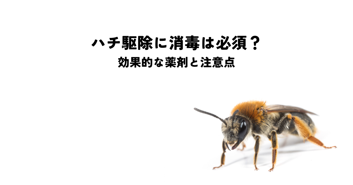 ハチ駆除に消毒は必須?効果的な薬剤と注意点を解説!