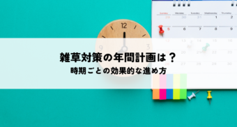 雑草対策の年間計画はどう組む？時期ごとの効果的な進め方を解説
