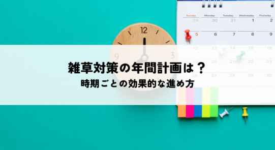 雑草対策の年間計画はどう組む？時期ごとの効果的な進め方を解説