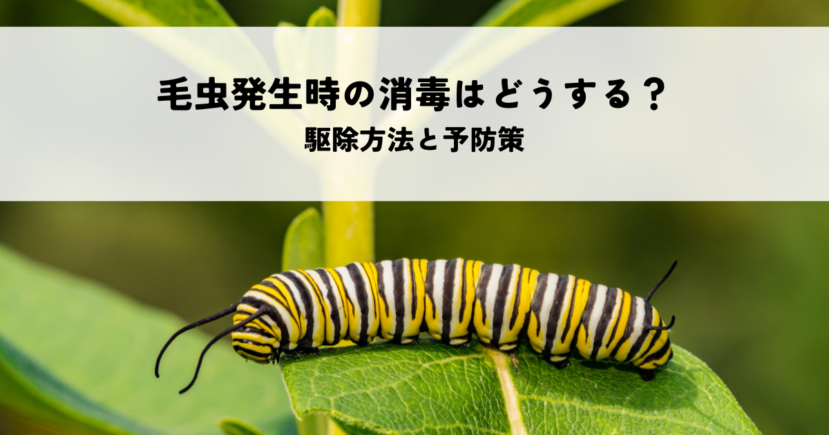 毛虫発生時の消毒はどうする？駆除方法と予防策を解説