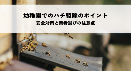 幼稚園でのハチ駆除のポイントとは？安全対策と業者選びの注意点