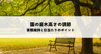園の庭木高さの調節の目的と時期を解説！景観維持と日当たりのポイント