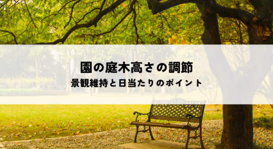 園の庭木高さの調節の目的と時期を解説！景観維持と日当たりのポイント