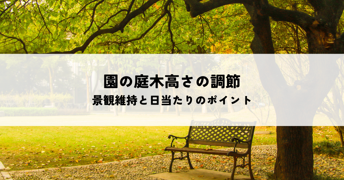 園の庭木高さの調節の目的と時期を解説!景観維持と日当たりのポイント