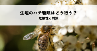 生垣のハチ駆除はどう行う？危険性と対策を解説