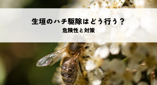 生垣のハチ駆除はどう行う？危険性と対策を解説