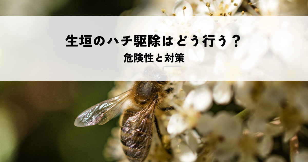 生垣のハチ駆除はどう行う?危険性と対策を解説