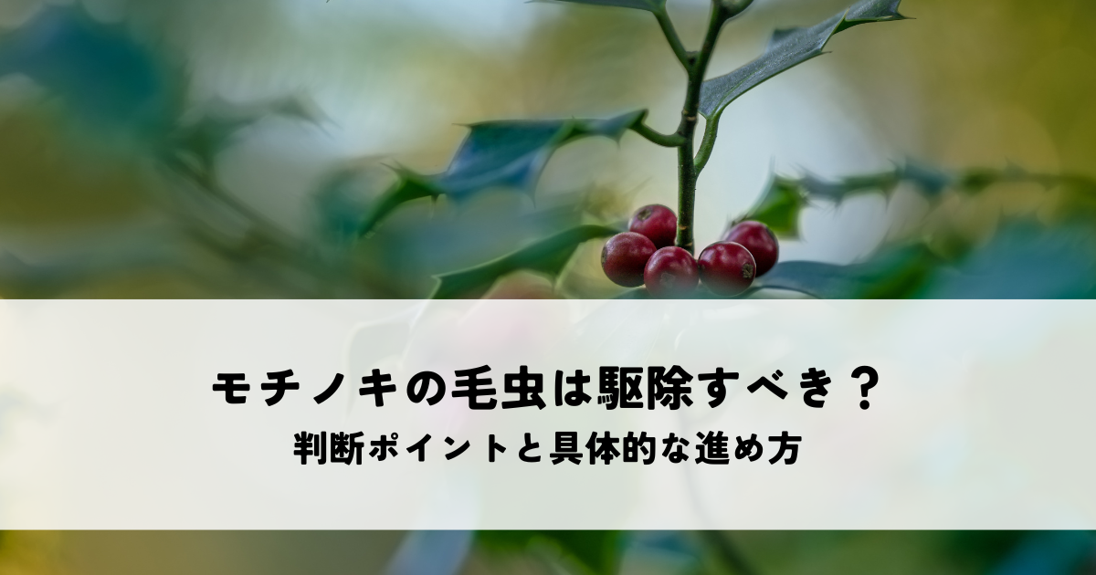 モチノキの毛虫は駆除すべき?判断ポイントと具体的な進め方を解説