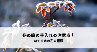 冬の庭の手入れの注意点！おすすめの花の種類を解説！