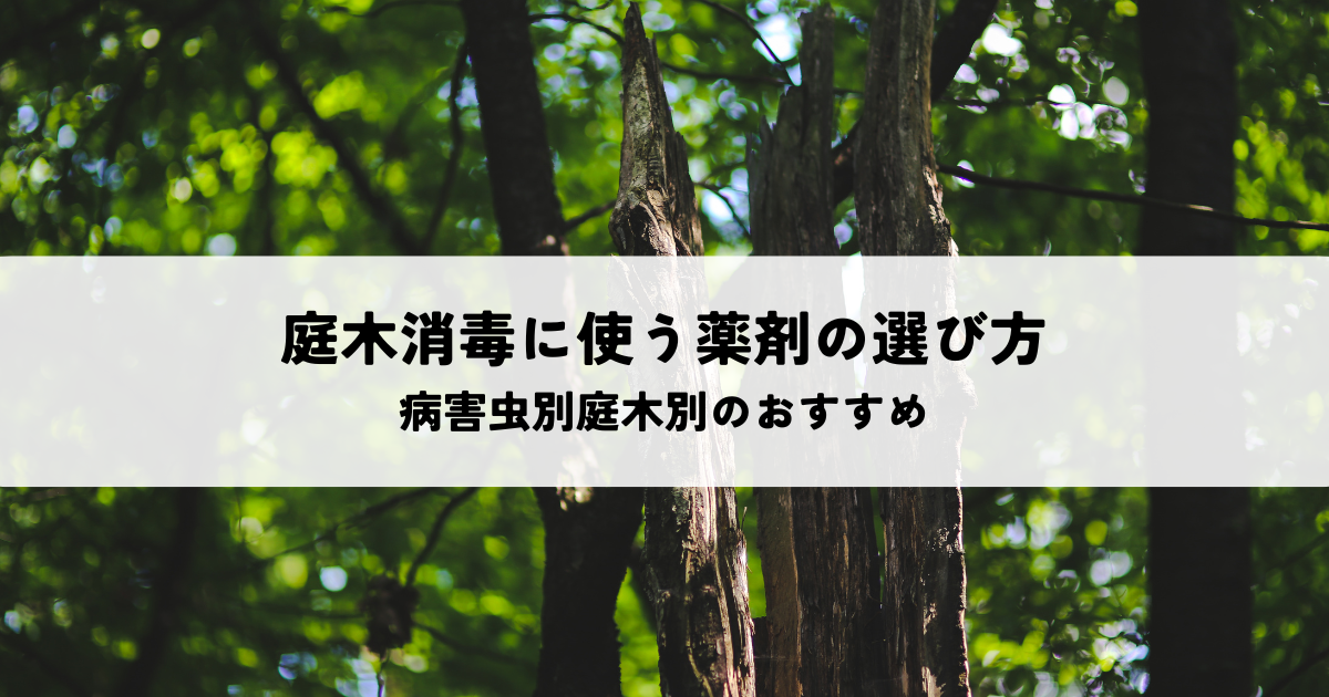 庭木消毒に使う薬剤の選び方とは?病害虫別庭木別のおすすめ