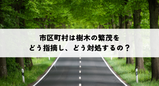 市区町村は樹木の繁茂をどう指摘し、どう対処しているのか？