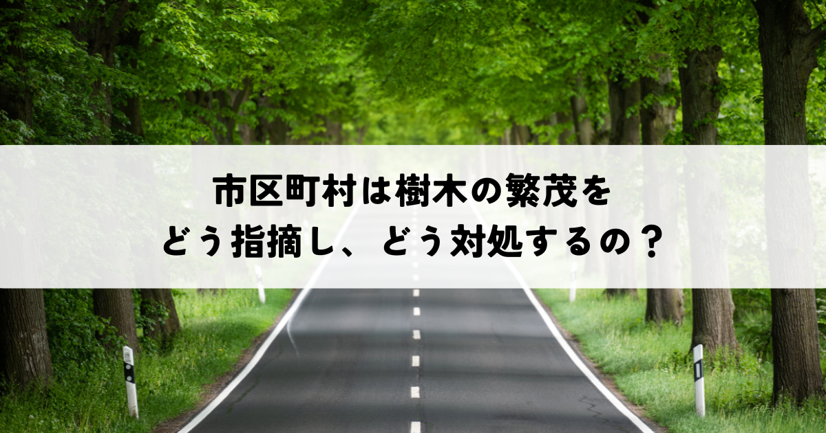 市区町村は樹木の繁茂をどう指摘し、どう対処しているのか？