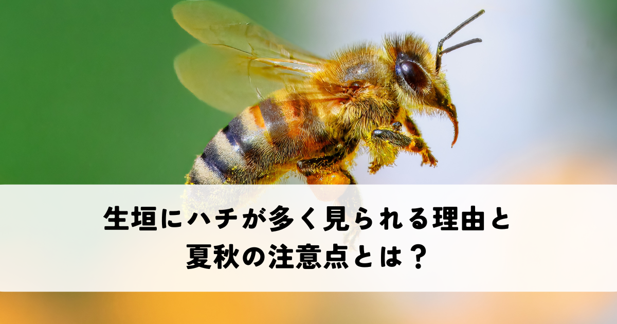 生垣にハチが多く見られる理由と夏秋の注意点とは？誘引源も解説