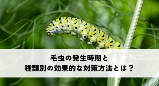 毛虫の発生時期と種類別の効果的な対策方法とは？