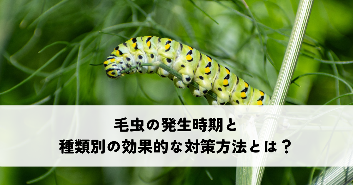 毛虫の発生時期と種類別の効果的な対策方法とは?