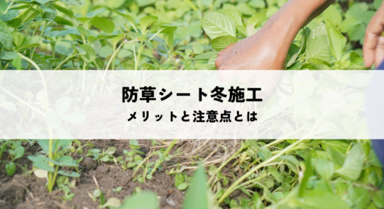 防草シート冬施工のメリットと注意点とは