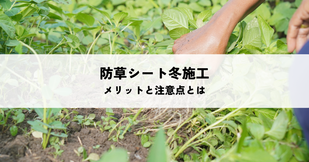 防草シート冬施工のメリットと注意点とは
